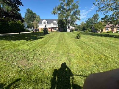 Lawn care service in Hamburg, 14075