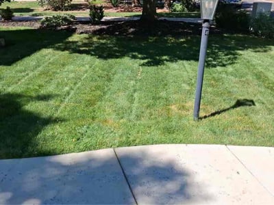 Lawn care service in Littleton, 80123