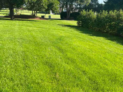 Lawn care service in Ankeny, 50023
