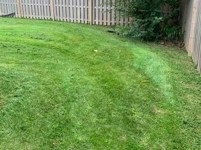 Lawn care service in La Vista, 68128