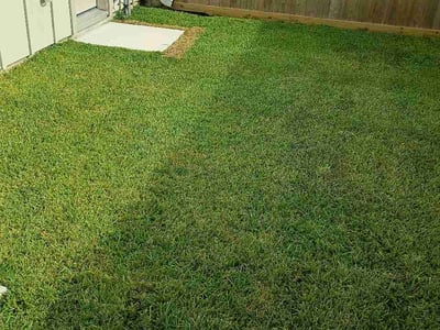 Lawn care service in Houston, 77092