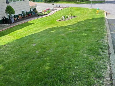 Lawn care service in White Plains, 10607