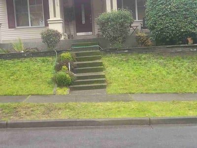 Lawn care service in , 
