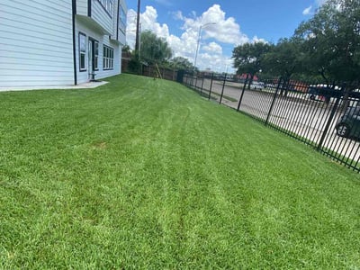 Lawn care service in Houston, 77033