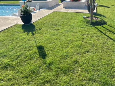 Lawn care service in Forney, 75126