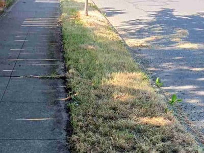 Lawn care service in , 