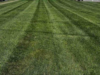 Lawn care service in Edgewood, 21040