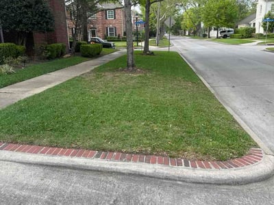 Lawn care service in Houston, 77005