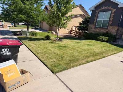 Lawn care service in Monument, 80132