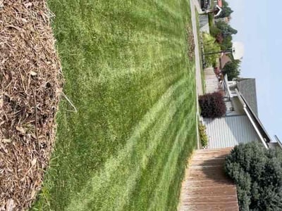 Lawn care service in Kennewick, 99337