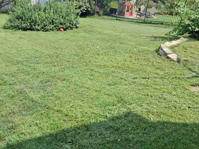 Lawn care service in St. Louis, 63130
