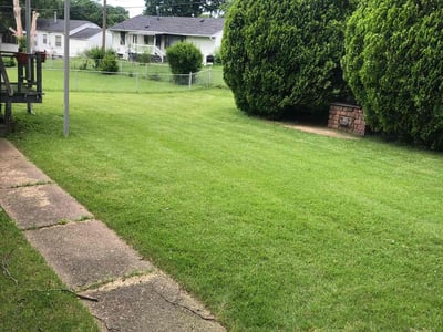 Lawn care service in St. Louis, 63137