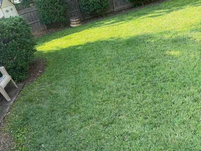 Lawn care service in Arlington, 22204