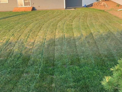 Lawn care service in Woodbury, 55129