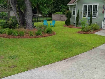Lawn care service in Charleston, 29412