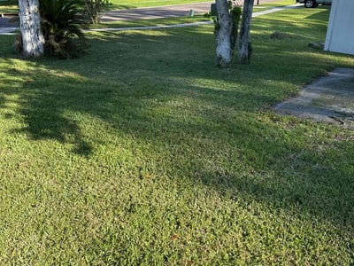 Lawn care service in Jacksonville, 32221