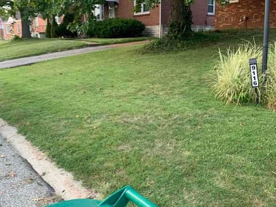 Lawn care service in Affton, 63123