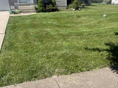 Lawn care service in Hamilton, 45013