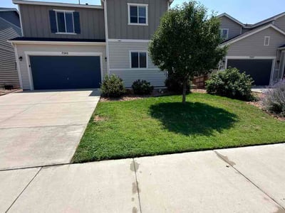 Lawn care service in Colorado Springs, 80915