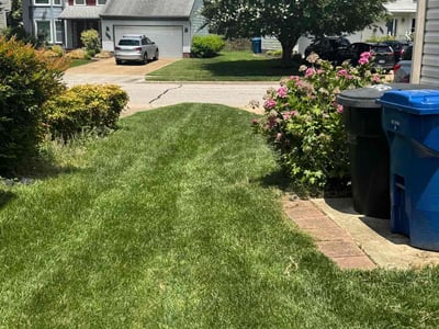Lawn care service in Virginia Beach, 23455