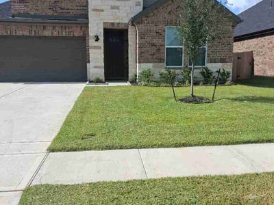 Lawn care service in Pearland, 77581