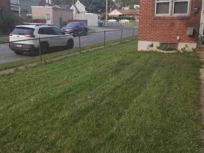 Lawn care service in Harrisburg, 17104