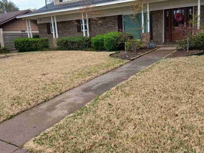 Lawn care service in Dallas, 75244