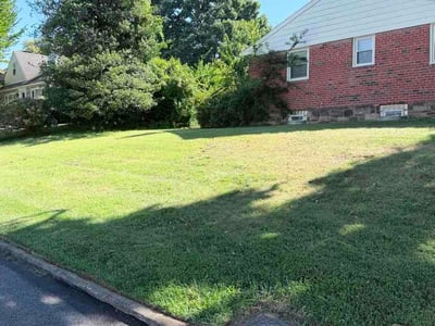 Lawn care service in Havertown, 19083