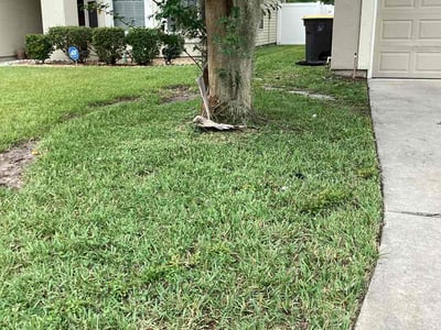 Lawn care service in Jacksonville, 32244