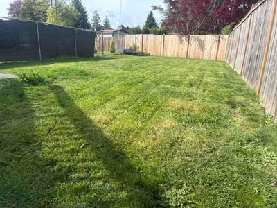 Lawn care service in Bonney Lake, 98391