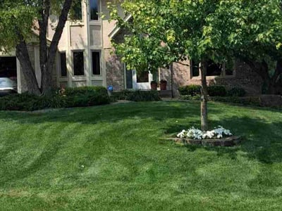 Lawn care service in Plymouth, 55442