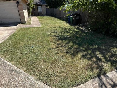 Lawn care service in San Antonio, 78217