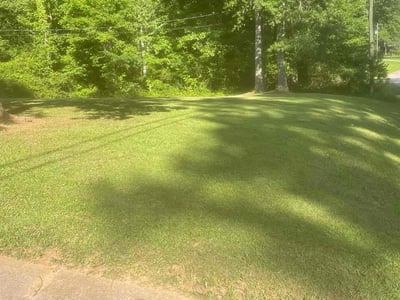 Lawn care service in Stockbridge, 30281