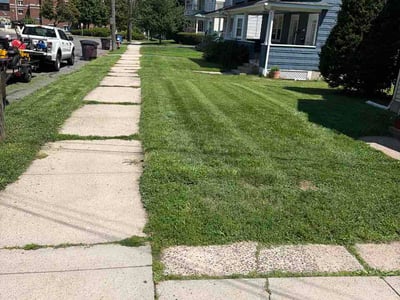 Lawn care service in New Britain, 06053