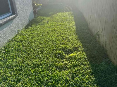 Lawn care service in St. Petersburg, 33705