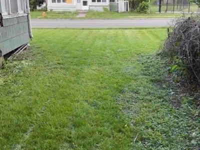 Lawn care service in Elmira, 14904