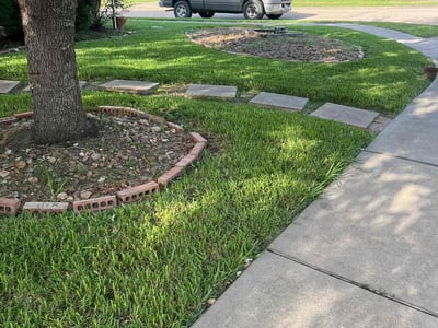 Lawn care service in Pearland, 77584