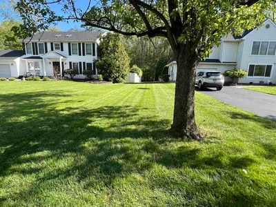 Lawn care service in Manalapan Township, 07726