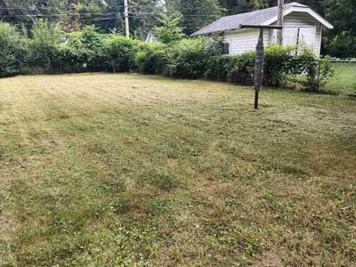 Lawn care service in Springfield, 65804