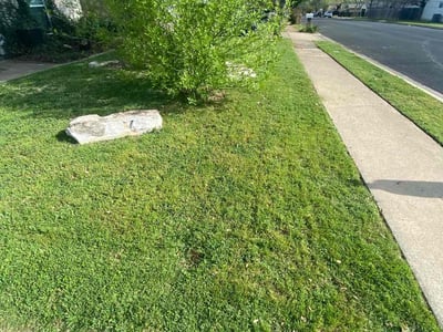 Lawn care service in Austin, 78745
