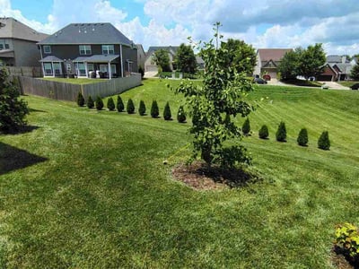 Lawn care service in Lexington, 40509