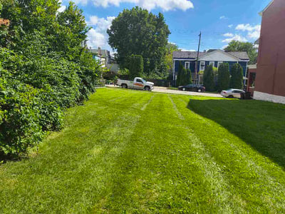 Lawn care service in Cincinnati, 45204