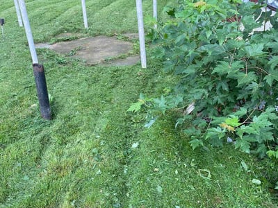 Lawn care service in Detroit, 48210