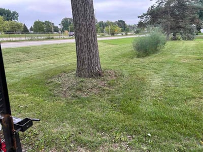 Lawn care service in Milwaukee, 53225