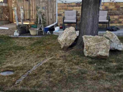 Lawn care service in Thornton, 80241