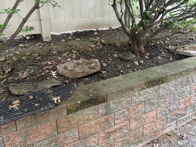 Lawn care service in , 