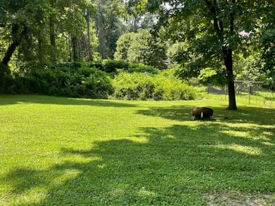Lawn care service in Atlanta, 30311