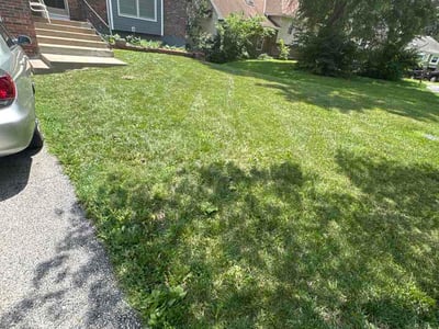 Lawn care service in Olathe, 66061