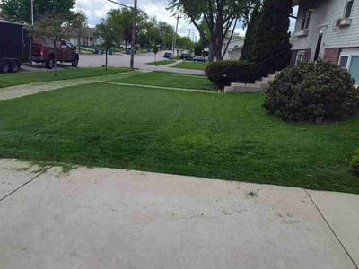 Lawn care service in Addison, 60101