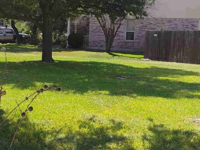 Lawn care service in Round Rock, 78681